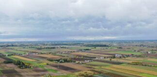 Kadm w warzywach. Czynniki wpływające na zawartość kadmu (cz. I) przekroczenia kadmu