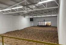 Ukraina potrzebuje 120 nowych przechowalni warzyw