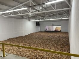 Ukraina potrzebuje 120 nowych przechowalni warzyw