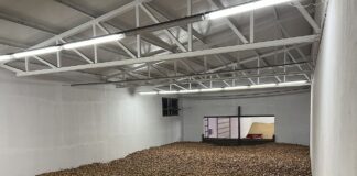 Ukraina potrzebuje 120 nowych przechowalni warzyw