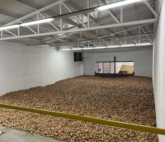 Ukraina potrzebuje 120 nowych przechowalni warzyw