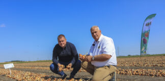 Cebule, które warto uprawiać w sezonie 2025