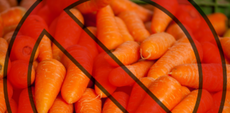 Marchew z Rosji zatrzymana przez IJHARS. Co wykryli inspektorzy? marchew z Rosji