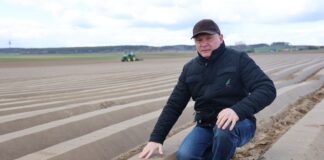 Prawidłowe nawożenie marchwi na starcie (Marchew #profesjonalnie cz. II)