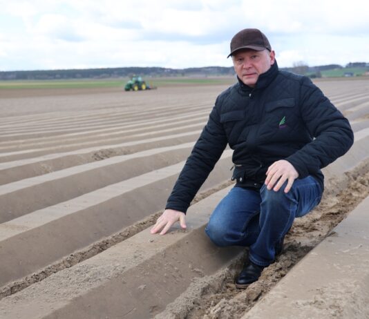 Prawidłowe nawożenie marchwi na starcie (Marchew #profesjonalnie cz. II)