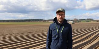 Marchew #profesjonalnie – odmiany i wymagania odbiorców