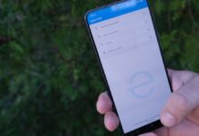 Darmowa wyszukiwarka środków ochrony roślin