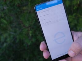 Darmowa wyszukiwarka środków ochrony roślin