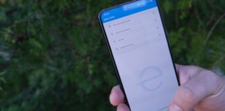 Darmowa wyszukiwarka środków ochrony roślin