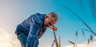 Choroby kwalifikujące do renty KRUS Choroby kwalifikujące do renty KRUS