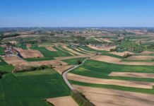 Rolnictwo regeneratywne – czym jest? Acetamipryd, rolnictwo regeneratywne