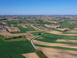 Niedobór potasu u roślin – przyczyny, skutki, jak uzupełnić? Acetamipryd, rolnictwo regeneratywne