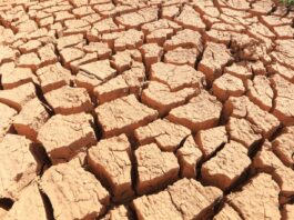 Wnioski o pomoc suszową za rok 2024. Terminy i warunki