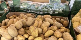 Aktualne ceny młodych ziemniaków ceny ziemniaków, ziemniaki młode, ceny młodych ziemniaków