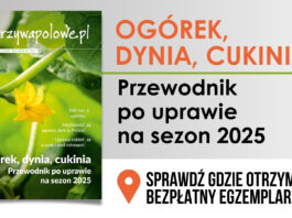OGÓREK, DYNIA, CUKINIA. Przewodnik po uprawie na sezon 2025. Sprawdź, gdzie go otrzymasz!