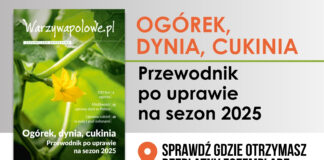 OGÓREK, DYNIA, CUKINIA. Przewodnik po uprawie na sezon 2025. Sprawdź, gdzie go otrzymasz!