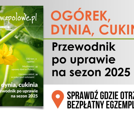 OGÓREK, DYNIA, CUKINIA. Przewodnik po uprawie na sezon 2025. Sprawdź, gdzie go otrzymasz!