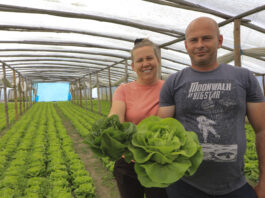 Udany sezon nowalijkowy, a do sadzenia czeka już papryka Magdalena i Przemysław Szatan