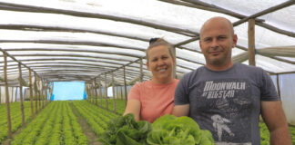 Udany sezon nowalijkowy, a do sadzenia czeka już papryka Magdalena i Przemysław Szatan