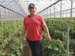 Plantatorzy z Południowego Mazowsza. Papryka #ShelfLife od Marcina Bednarka