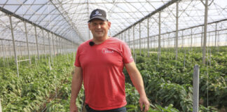 Plantatorzy z Południowego Mazowsza. Papryka #ShelfLife od Marcina Bednarka