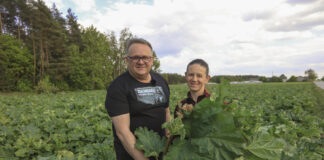 Plantatorzy z południowego Mazowsza: Czas na rabarbar