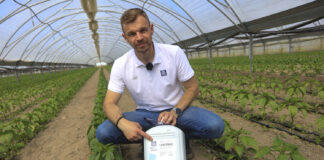 Papryka #ShelfLife tuż przed kwitnieniem. Te działania są niezbędne!