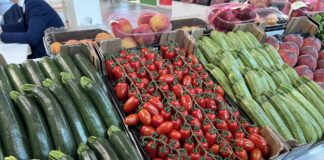 Warzywa i ciekawe rozwiązania na targach Macfrut 2025