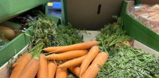 Sezon na nowalijki w pełni. Po ile warzywa pęczkowe?