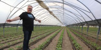 Papryka #Shelf Life. To będzie przyszłość uprawy na południowym Mazowszu