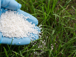Grupa Azoty wznawia przyjmowanie zamówień na nawozy azotowe nawozy azotowe