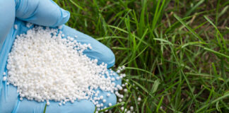 Nawozy azotowe – jak je stosować i do jakich upraw? nawozy azotowe