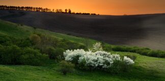 Ocieplenie tylko na chwilę – czeka nas dynamiczna pogoda pogoda, prognoza pogody, wiosna, pole
