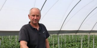 Papryka w Potworowie: Trudny sezon i nowe wyzwania