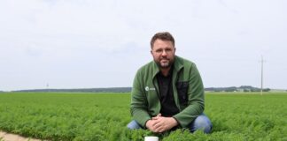 Romeo – dołącza do programu ochrony „Marchew #profesjonalnie” Romeo ASCROP, Pierre Boulet