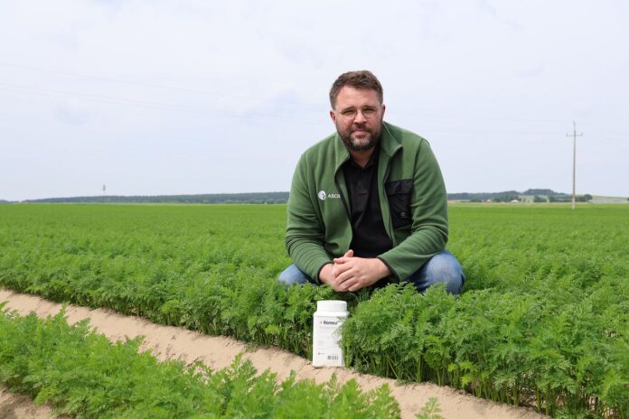 Romeo ASCROP, Pierre Boulet
