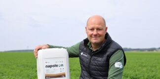 Jak poprawić aktywność mikrobiologiczną gleby? Marchew #profesjonalnie