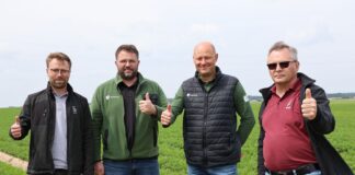 Skuteczne nawożenie marchwi — klucz do wysokich plonów