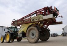 Konsultacje publiczne UE – uproszczenie zasad dopuszczania środków ochrony roślin ochrona warzyw, oprysk, opryskiwacz, warzywa, marchew #profesjonalnie