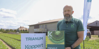 Biologiczna ochrona rzodkiewki – skuteczne sposoby zwalczania chorób i szkodników