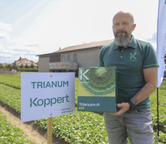 Biologiczna ochrona rzodkiewki – skuteczne sposoby zwalczania chorób i szkodników