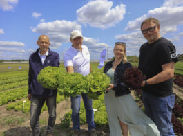 Enza Zaden prezentuje odmiany sałat i rzodkiewek do uprawy w tunelach i gruncie