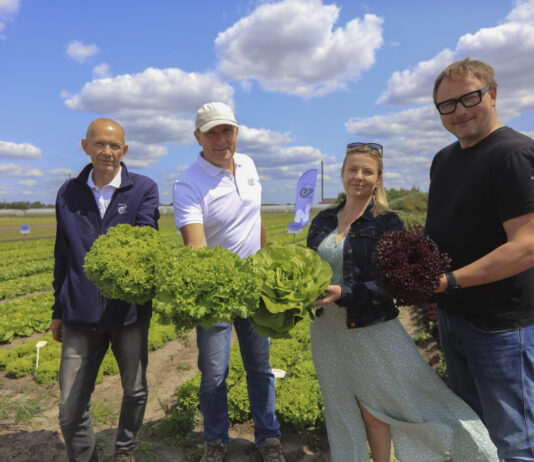 Enza Zaden prezentuje odmiany sałat i rzodkiewek do uprawy w tunelach i gruncie