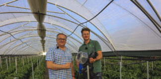 Jak skutecznie chronić paprykę przed szkodnikami? Lustracja, decyzje i biologiczne zwalczanie