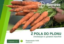 Szkolenie – „Innowacje w uprawie marchwi. 6 lipca 2025 Brudzew pod Kaliszem.