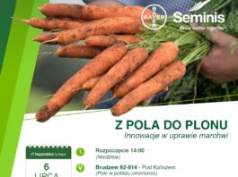 Szkolenie – „Innowacje w uprawie marchwi.  6 lipca 2025 Brudzew pod Kaliszem.