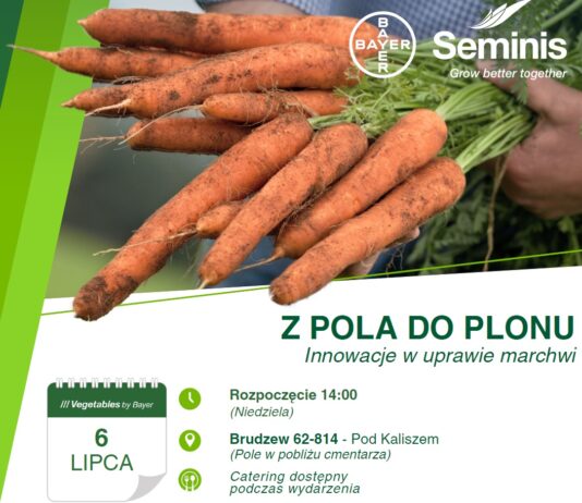 Szkolenie – „Innowacje w uprawie marchwi. 6 lipca 2025 Brudzew pod Kaliszem.