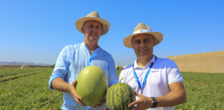 Wybraliśmy najlepsze odmiany arbuzów do uprawy w Polsce