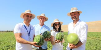 Arbuzy i melony Syngenta – Demo Days 2025: Polska delegacja w Hiszpanii