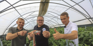 Wyzwania sezonu 2025 w uprawie papryki. Opinie ekspertów projektu Papryka #ShelfLife